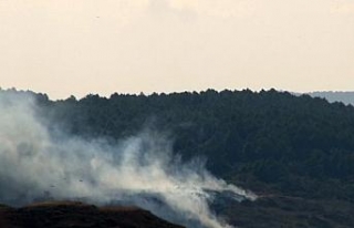 İstanbul’da askeri alanda orman yangını çıktı