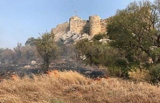 Kastabala Antik Kenti’nde orman yangın