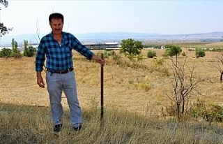Koyun otlattığı çayıra fabrika kuracak