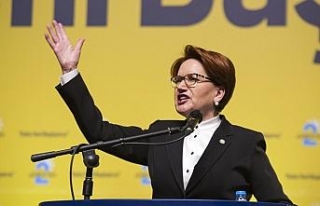 Meral Akşener yeniden seçildi