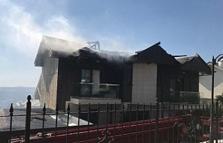 Orman yangını villalara sıçradı