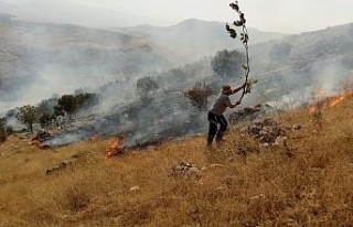 Piknikçilerden kalma küller az daha beldeyi yakıyordu