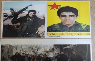 PKK operasyonu: 5 kişi tutuklandı