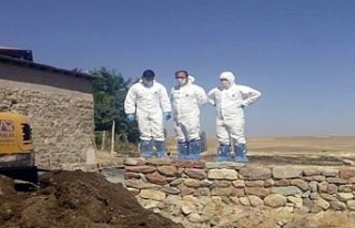 Sivas’ta şarbon şüphesi ile karantina
