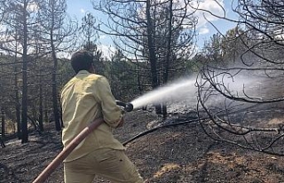 Vatandaşlardan orman yangınına canla başla müdahale