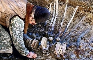 Yakutistan’da mamut fosili bulundu