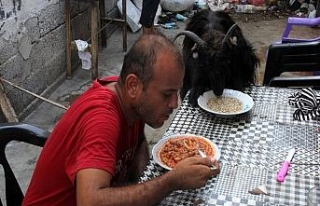 Yedikleri içtikleri ayrı gitmiyor