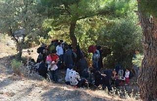 106 kaçak göçmen yakalandı