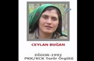 300 bin lira ödülle aranan kadın terörist öldürüldü