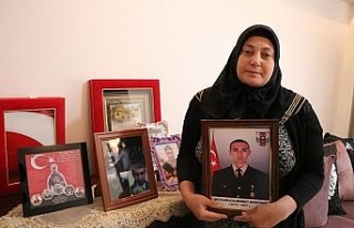 Afrin şehidinin annesi: İdam edilmelerini istiyorum