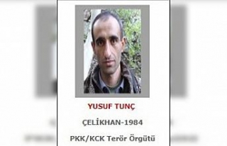 Annesine yazdığı mektupta örgütün yapılanmasını...
