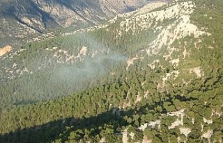 Antalya’daki orman yangını söndürüldü