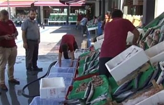 Balık tezgahlarındaki bolluk yüzleri güldürdü