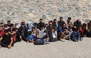 Başkale’de 41 kaçak göçmen yakalandı
