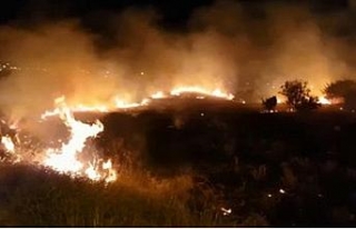 Çeşme’yi korkutan yangın kontrol altına alındı