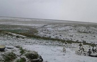 Doğu’ye mevsimin ilk karı düştü