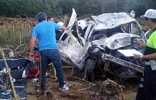 Feci kaza: 3 ölü, 2 yaralı
