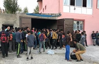 Garajdan 244 kaçak göçmen çıktı