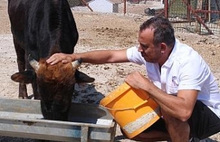 Haluk Levent dana Ferdinand’ı ziyaret etti