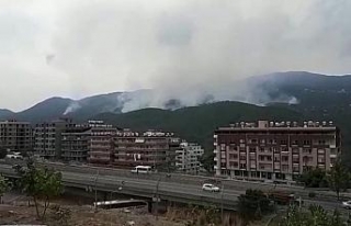 Hatay’daki yangın kısmen kontrol altında