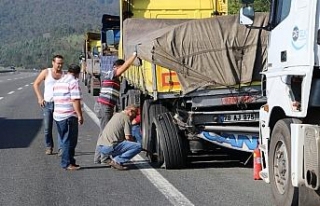 Kamyona giren arı kaza yaptırdı