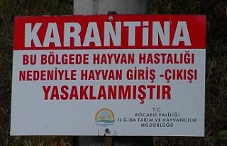 Kocaeli’de şarbon paniği: 3 köy karantinaya alındı