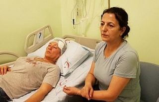 Köpeklerini gezdirirken taşlı saldırıya uğradı