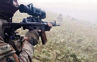 Lice’de 2 terörist etkisiz hale getirildi