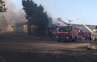 Market zincirinin deposunda korkutan yangın