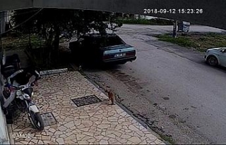 Motosiklet çalan hırsızlar kaza yapınca yakalandı