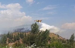 Osmaniye’de bir köy boşaltıldı