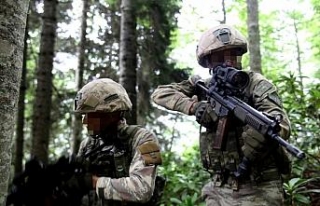 PKK’nın Karedeniz yapılanmasına büyük darbe