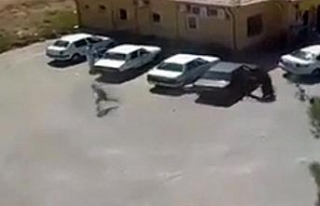 Şanlıurfa’daki ’kan davası’ cinayeti kamerada