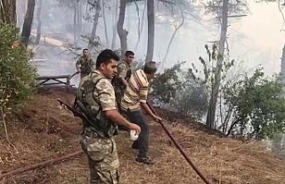 Söndürme çalışmaları hem havadan hem karadan...