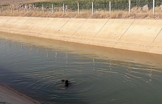 Sulama kanalına düşen Suriyeli çocuk boğuldu