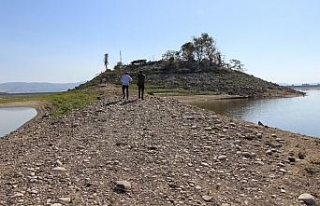 Sular çekilince adaya yol açıldı