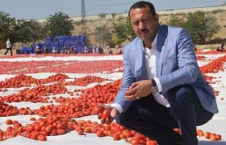 Tonlarca domates kurutulup dünyaya satılıyor