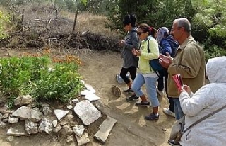 Tuncel Kurtiz mezarı başında anıldı