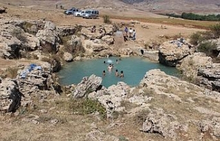 Uyuz olan bu göle koşuyor
