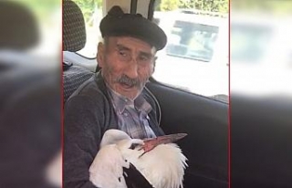 70’lik dededen insanlık dersi