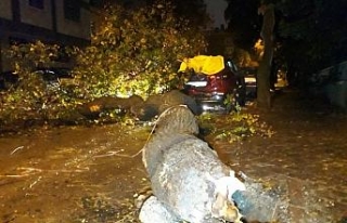 Ankara’da sağanak yağış ve rüzgar etkili oldu