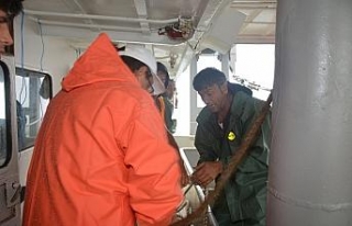Balıkçılar palamut bolluğundan memnun