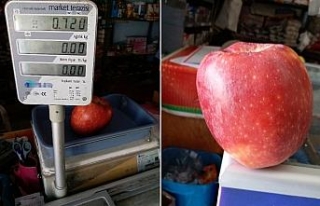 Bir elma tam 720 gram geldi