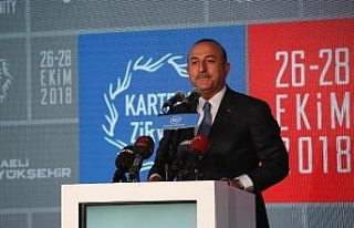 Çavuşoğlu’ndan göç sorununda işbirliği çağrısı