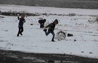 Doğu Anadolu’da kar yağışı etkili oldu
