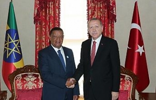Erdoğan Etiyopyalı mevkidaşıyla bir araya geldi