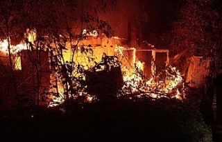 Fatih’te gecekondu alev alev yandı