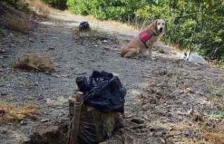 İkisi tuzaklanmış toplam 340 kilo patlayıcı ele...