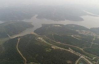 Ormanda Cemal Kaşıkçı’dan izi arandı