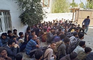 Tam 140 kaçak göçmen